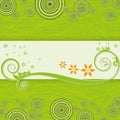 Abstract orange summer background