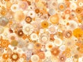 Abstract Orange Yellow Brown Floral Pattern Background Royalty Free Stock Photo