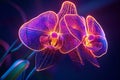 Abstract Orchid with Sharp Angular Petals