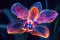Abstract Orchid with Sharp Angular Petals