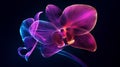 Abstract Orchid with Sharp Angular Petals