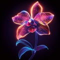 Abstract Orchid with Sharp Angular Petals