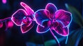 Abstract Orchid with Sharp Angular Petals