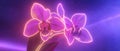 Abstract Orchid with Sharp Angular Petals