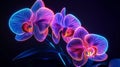 Abstract Orchid with Sharp Angular Petals