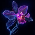 Abstract Orchid with Sharp Angular Petals