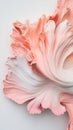 Abstract organic form with delicate layered textures in soft coral and white against a clean background. Royalty Free Stock Photo