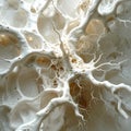 Abstract Organic Network of White Structures Royalty Free Stock Photo