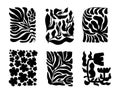 Abstract organic plant shapes set. Contemporary Matisse leaves, flowers in black and white color. Vector illustration.