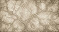 Abstract organic texture background with veins and cells Royalty Free Stock Photo