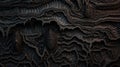 Abstract Organic Textures in Dark Earthy Tones