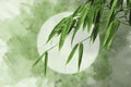 Abstract oriental backgrounds with green bamboo grass Royalty Free Stock Photo