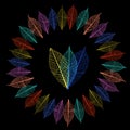 Abstract ornament of colored skeleton leaves. Vector illustration.