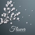 Abstract ornament flower background concept. Vector illustration design Royalty Free Stock Photo