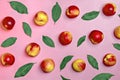 Fresh harvested nectarines, plate, leaves lies round on pink background Vegetables vitamin Keratin Natural Peach Organic Royalty Free Stock Photo