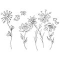 Abstract outline icon of wildflowers and butterfly isolated on white background. Hand Drawn vector illustration Royalty Free Stock Photo