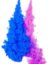 Abstract paint background color of blue and pink ink splash in the water isolated on white background Royalty Free Stock Photo