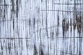 Abstract paint black and white scribble on wall