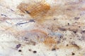 Abstract painting with blurry and stained structure. metal rust effect with glitter grains. Painting on old paper. Royalty Free Stock Photo
