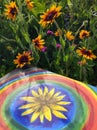 Abstract painting on canvas in the summer park. Yellow rudbeckia flower and rainbow circles. Royalty Free Stock Photo