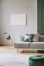 Painting on empty wall of classy living room interior Royalty Free Stock Photo