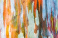 Abstract painting by eucalyptus tree bark Royalty Free Stock Photo