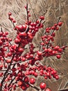 Abstract painting of Oranamental red berries - Background image Royalty Free Stock Photo