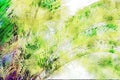 Abstract painting of tropical palm leaves, nature image, digital watercolor illustration, art for background