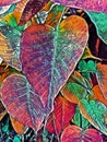 Abstract painting of large leaves - Background image