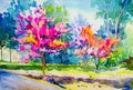 Abstract painting watercolor original of Wild Himalayan Cherry flowers. Royalty Free Stock Photo