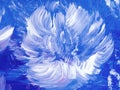 Abstract painting white flower on blue, original hand drawn, impressionism style, color texture, brush strokes of paint, art Royalty Free Stock Photo