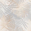 Abstract Palm leaf line art, silhouette on luxury gray color background Royalty Free Stock Photo