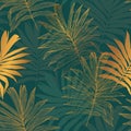 Abstract Palm leaf line art, silhouette on luxury green color background Royalty Free Stock Photo