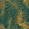 Abstract Palm leaf line art, silhouette on luxury green color background Royalty Free Stock Photo