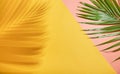 Abstract palm leaf and shadow reflection on colorful background Royalty Free Stock Photo