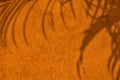 Palm leaves shadow on orange concrete wall texture background Royalty Free Stock Photo