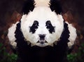 Abstract Panda low poly wallpaper