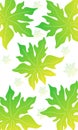 abstract papaya leaf hand drawn background. Royalty Free Stock Photo