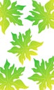 abstract papaya leaf hand drawn background. Royalty Free Stock Photo