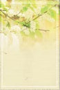 Abstract paper spring background with branch of bird cherry in bloom Royalty Free Stock Photo