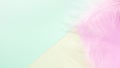 Abstract pastel colored paper texture minimalism background with White feathers. Royalty Free Stock Photo