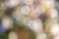 Abstract pastel green bokeh with light circles of defocused blur