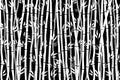 Abstract pattern - bamboo forest. White drawing of bamboo stalks on a black background. Tropical plant texture. Vector Royalty Free Stock Photo