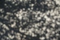 Abstract pattern of big tree natural shadow on light grey hard concrete surface floor of temple ground