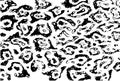 Abstract pattern design texture of the skin of the leopard. Jaguar, leopard, cheetah, Panther. Black-and-white camouflage Royalty Free Stock Photo