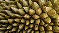 Abstract pattern durian thorn texture background Royalty Free Stock Photo