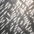 An abstract pattern of light and shadow created by sunlight filtering through leaves3