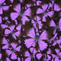 Abstract pattern maden from different colorful butterflies Royalty Free Stock Photo