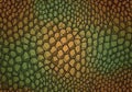 Abstract pattern mimicking reptile skin, featuring interconnected polygonal shapes with dark Royalty Free Stock Photo