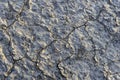 Abstract pattern from natural landscape of dry crack desert land